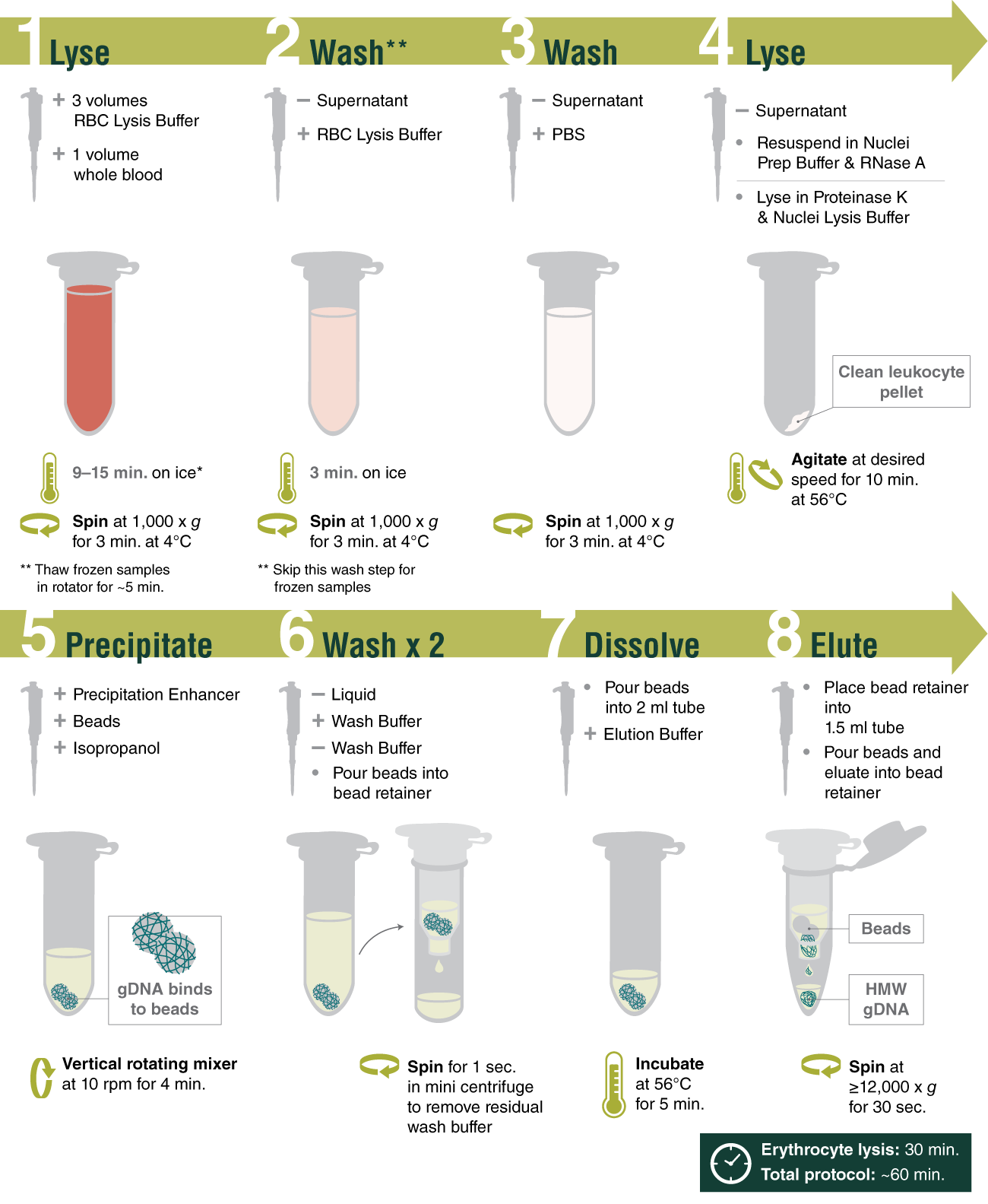 Monarch® HMW DNA Extraction Kit for Cells & Blood NEB