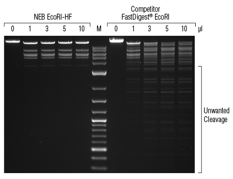 Fermentas Restriction Enzymes Buffer Activity Chart