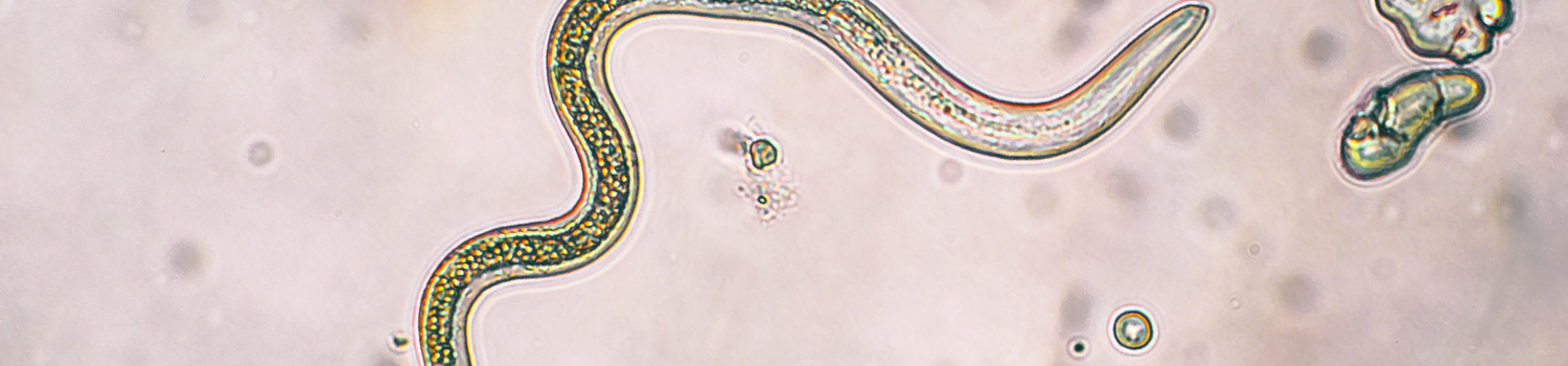 parasitology_banner