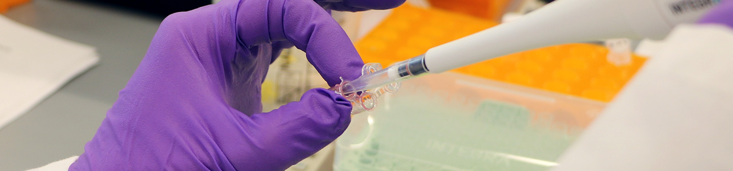 scientificPosters_banner