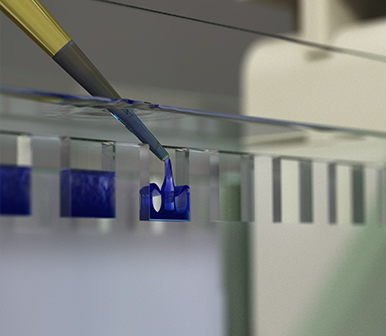 Protein Expression Special Offer