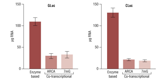 mRNA yields from transcriptional capping