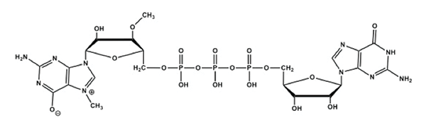 ARCA cap structure