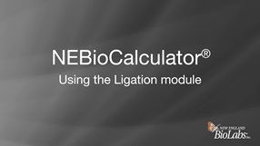 NEBioCalculator Ligations Thumbnail