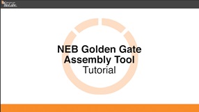 Golden-Gate-Assembly-Tool-Tutorial