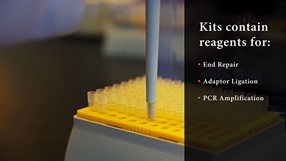 Nebnext Fast Dna Library Prep Set For Ion Torrent Neb Nebnext Fast Dna Library Prep Set For Ion Torrent Neb