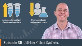 Cell Free Protein Expression