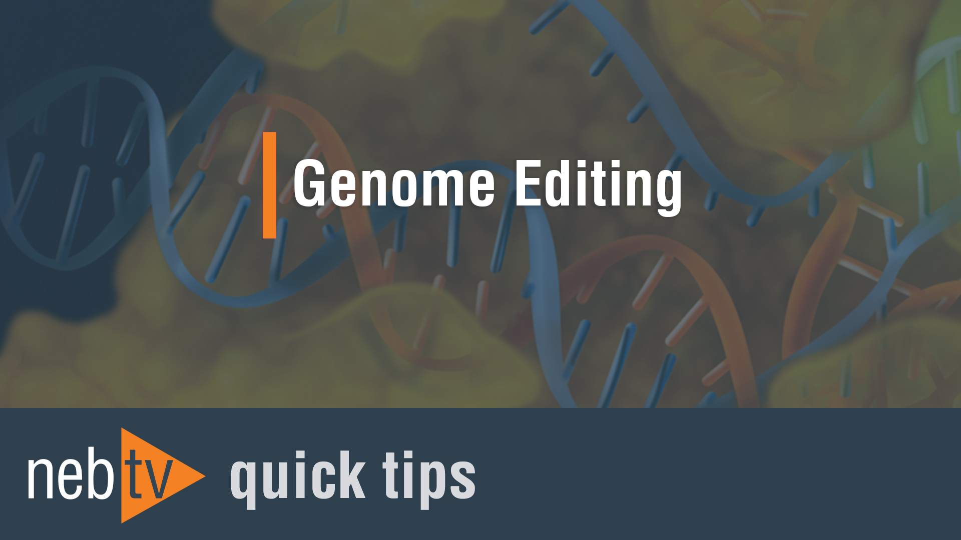 Engen Mutation Detection Kit Neb - nebtv genome e!   diting 1920