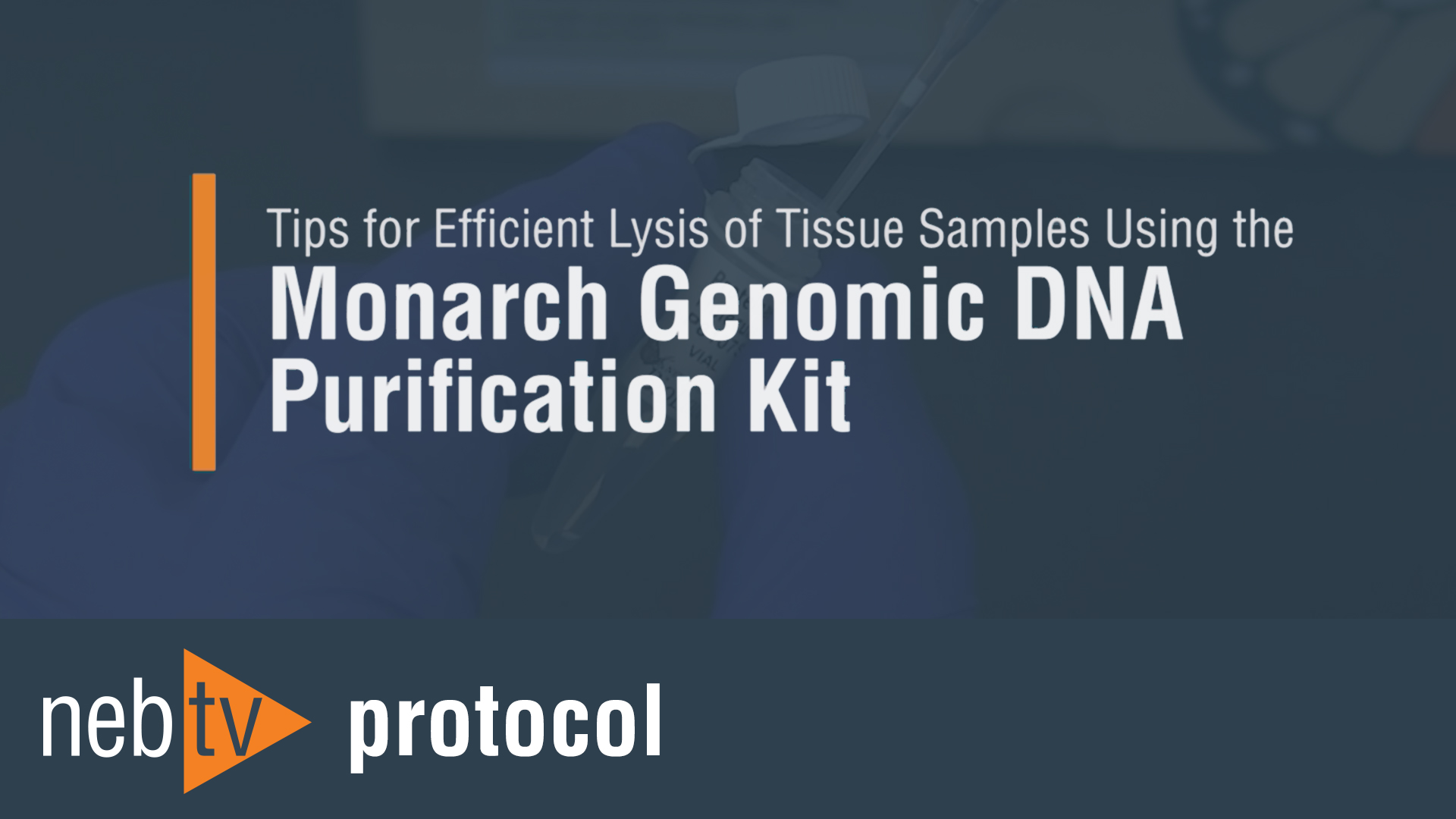 TipsforEfficientLysisofTissueSamplesUsingtheMonarchGenomicDNAPurificationKit