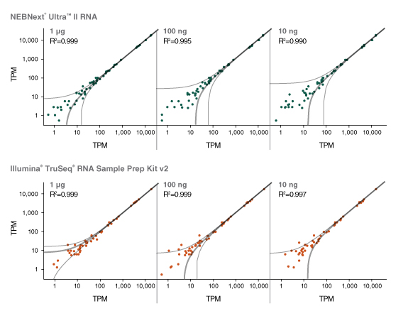 Nondir_RNA_Complexity_Figure2