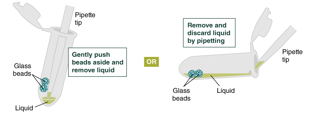 Protocol for High Molecular Weight DNA (HMW DNA) Extraction from Cells ...
