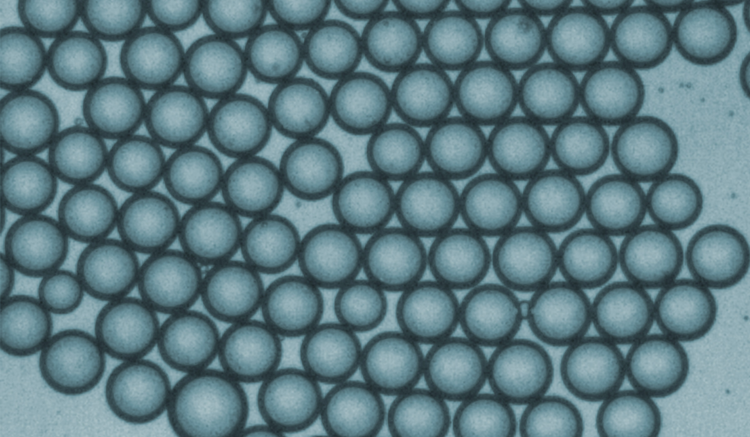 Chen Lab | NEB