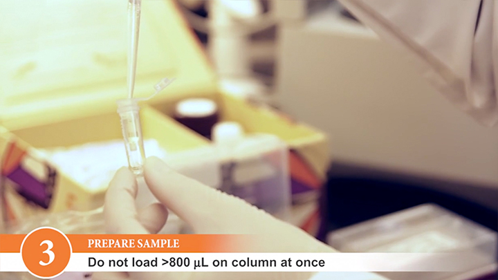 Monarch® PCR & DNA Cleanup Kit (5 μg) | Purification Kits | NEB