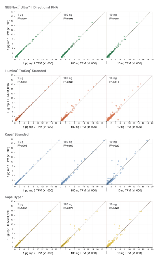 Dir_RNA_Complexity_Figure1