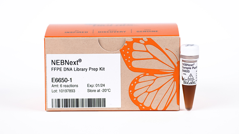 NEBNext UltraShear® FFPE DNA Library Prep Kit | NEB