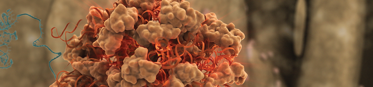 RNA Markers and Ladders | NEB