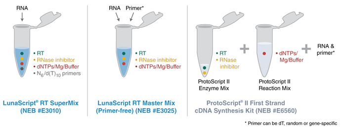 LunaScript® RT Master Mix Kit (Primer-free) | NEB