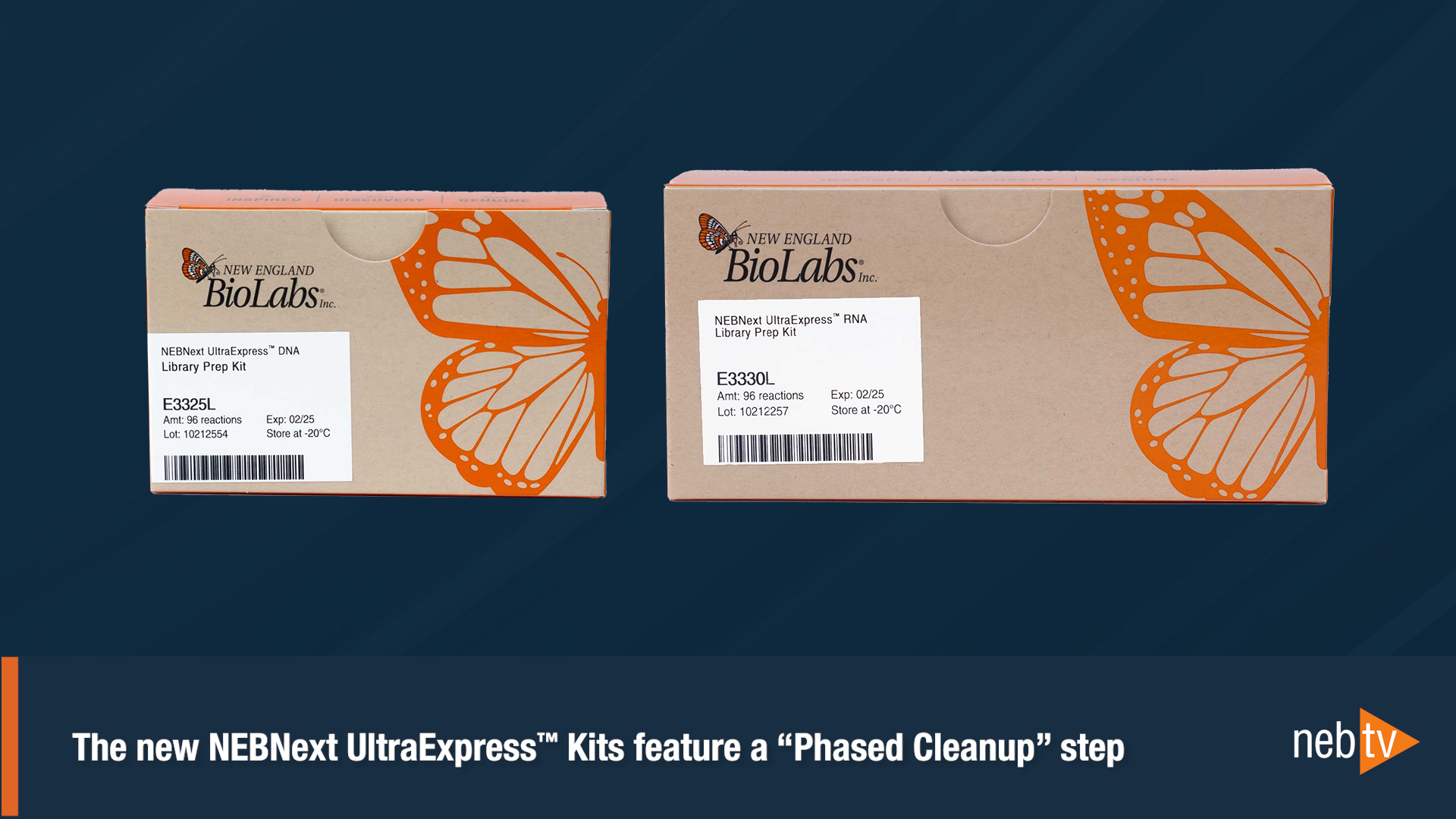 NEBNext ULTRAEXPRESS® DNA Library Prep Kit | NEB