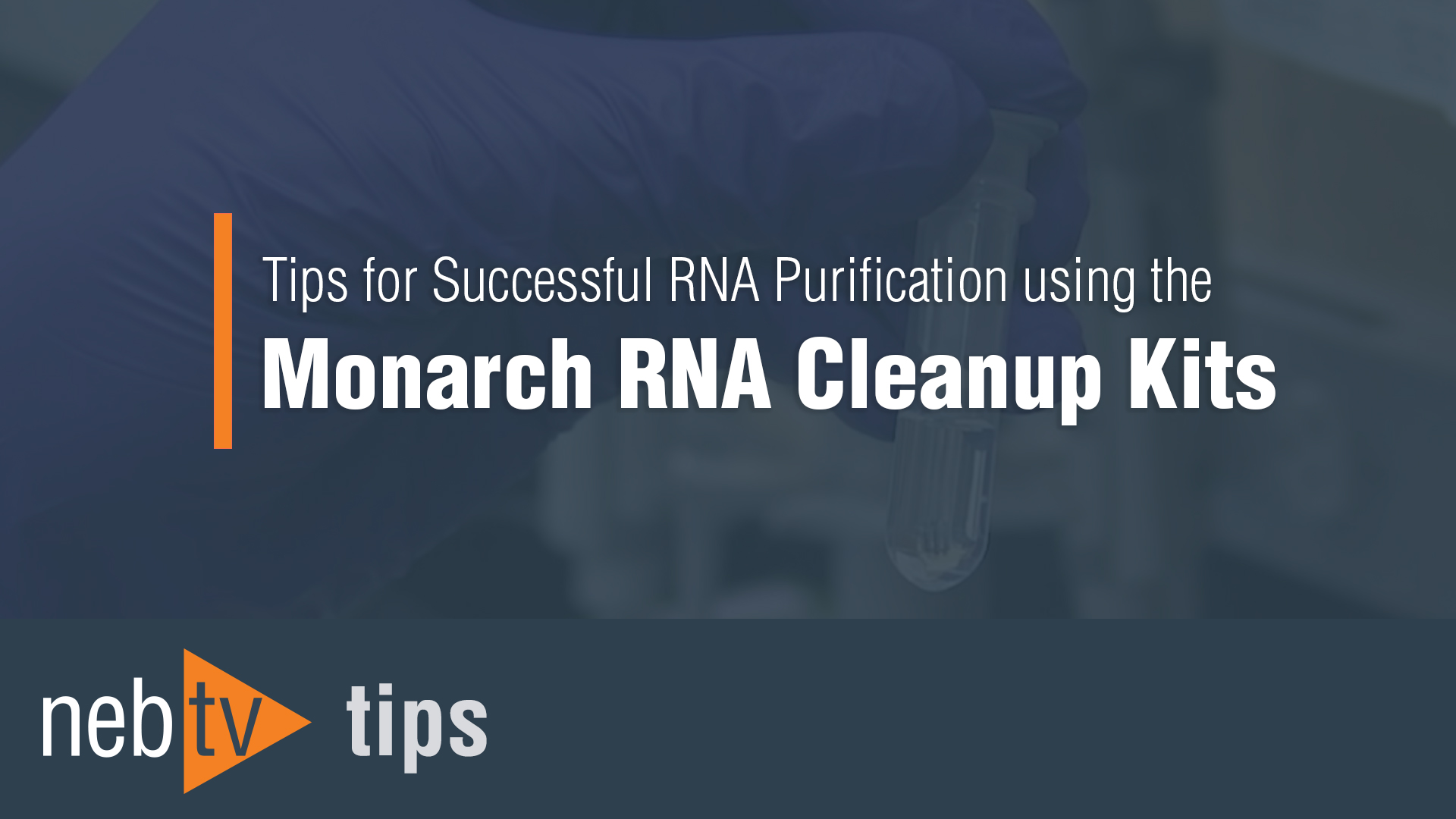 Monarch® Spin RNA Cleanup Kit (500 µg) | NEB