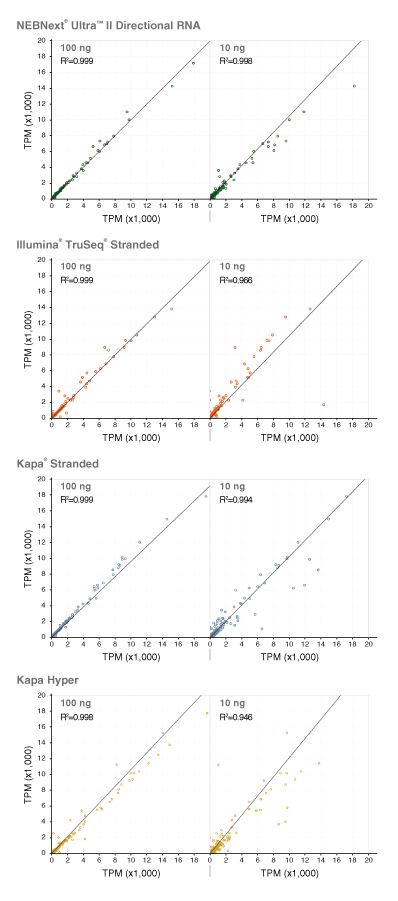 Dir_RNA_Complexity_Figure4