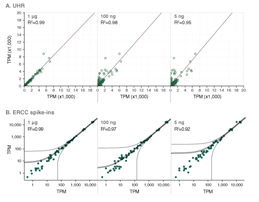 Nondir_RNA_Complexity_Figure3