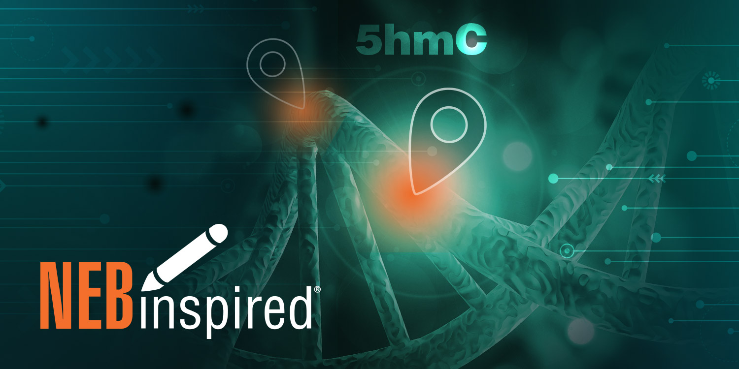 E5hmC-seq is a Sequencing Method for Direct 5hmC Detection that ...