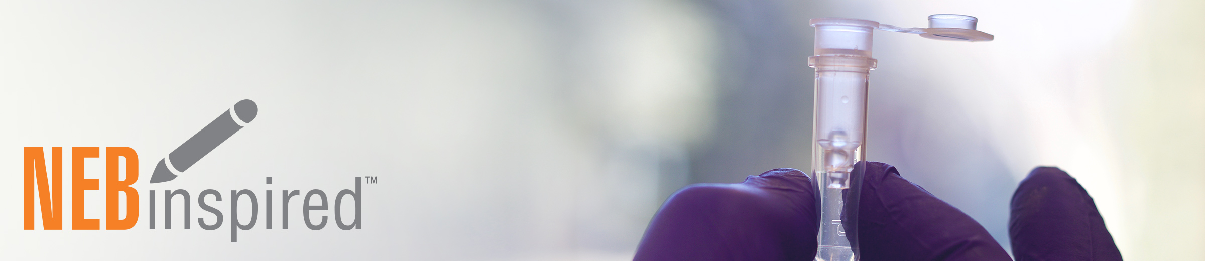 High Molecular Weight (HMW) DNA Extraction minimizing a bottleneck