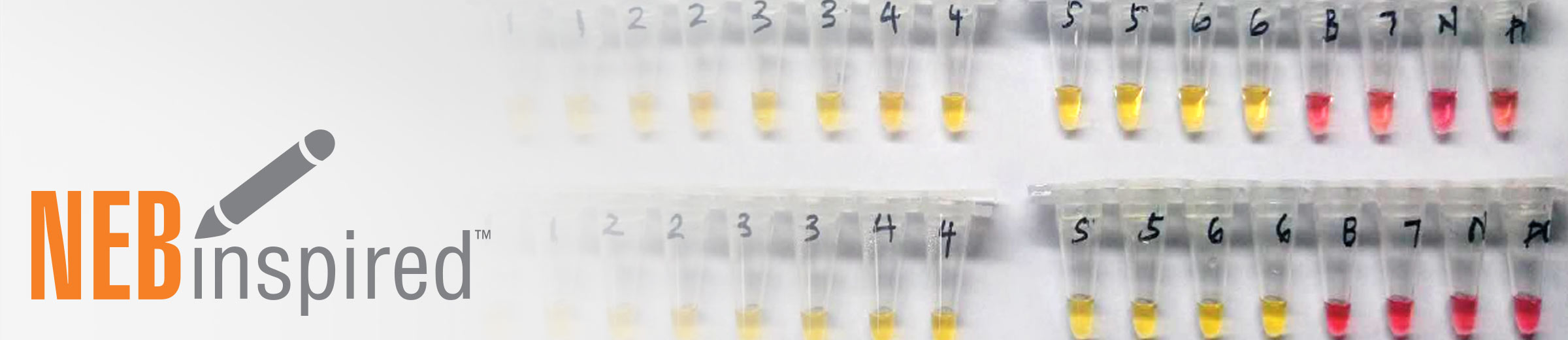 Loop-mediated isothermal amplification allows testing to be performed ...