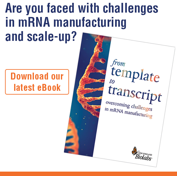 HiScribe® T7 ARCA mRNA Kit (with tailing) NEB