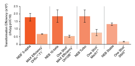 NEB® Cloning Competent E. coli Sampler | NEB