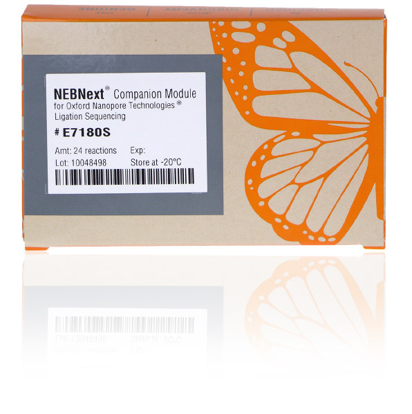 Find Products for Nanopore Sequencing | NEB