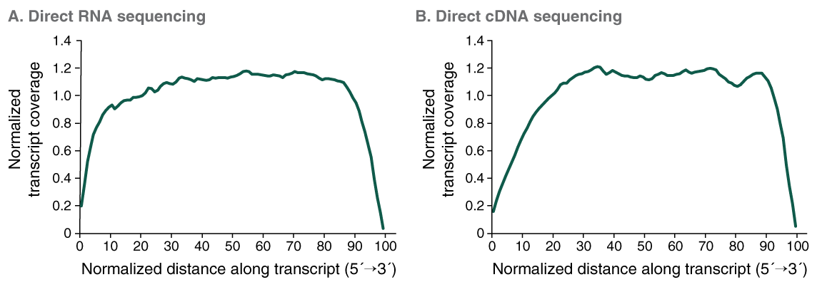 NEBNext® High Input Poly(A) mRNA Isolation Module | NEB