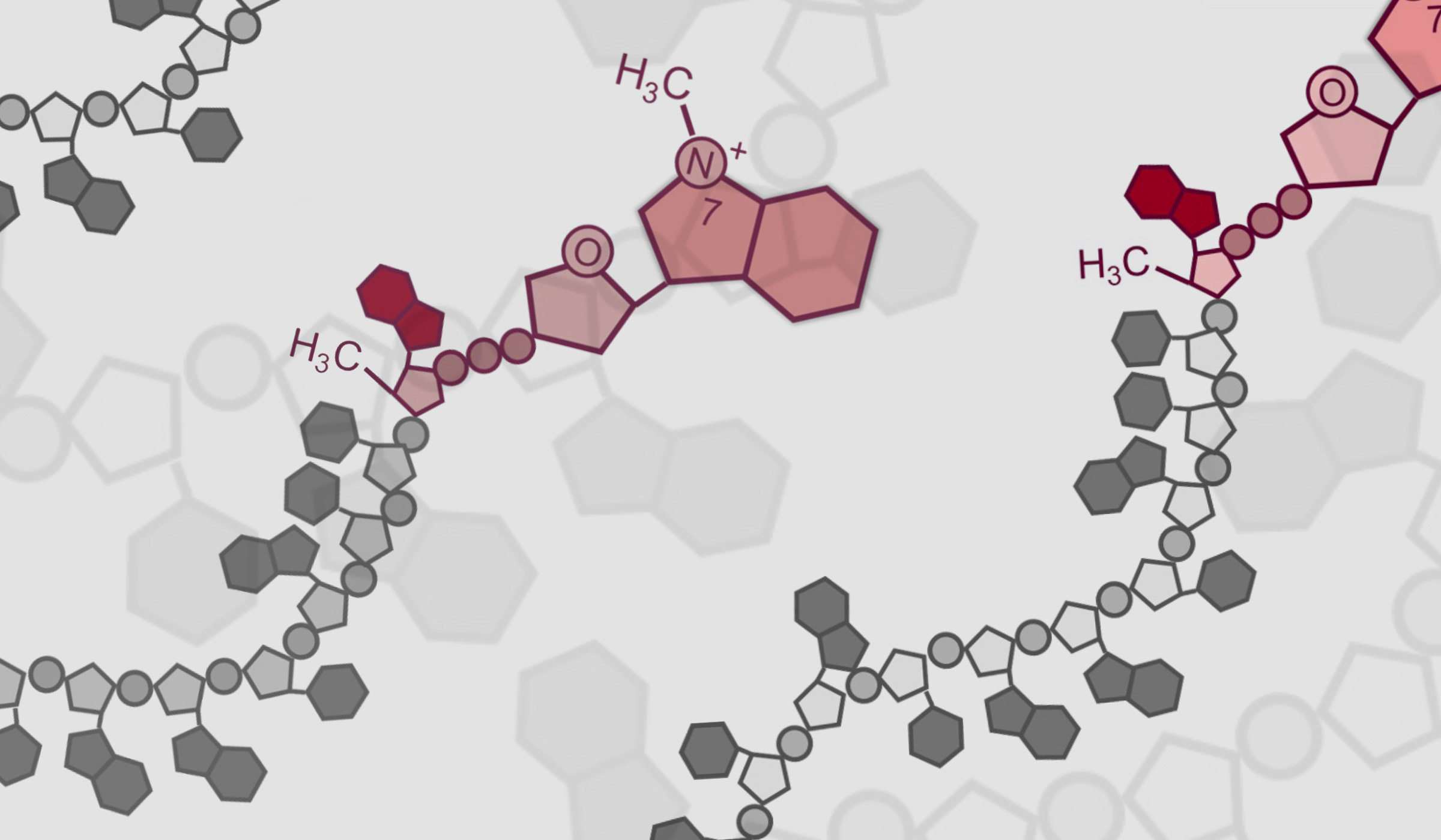 Chan Lab | NEB