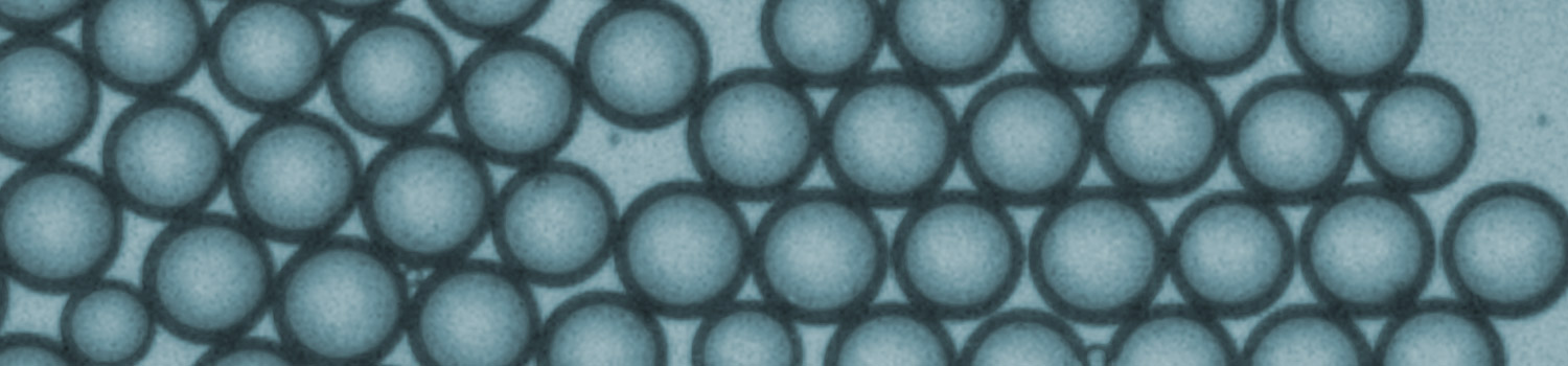 Chen Lab | NEB