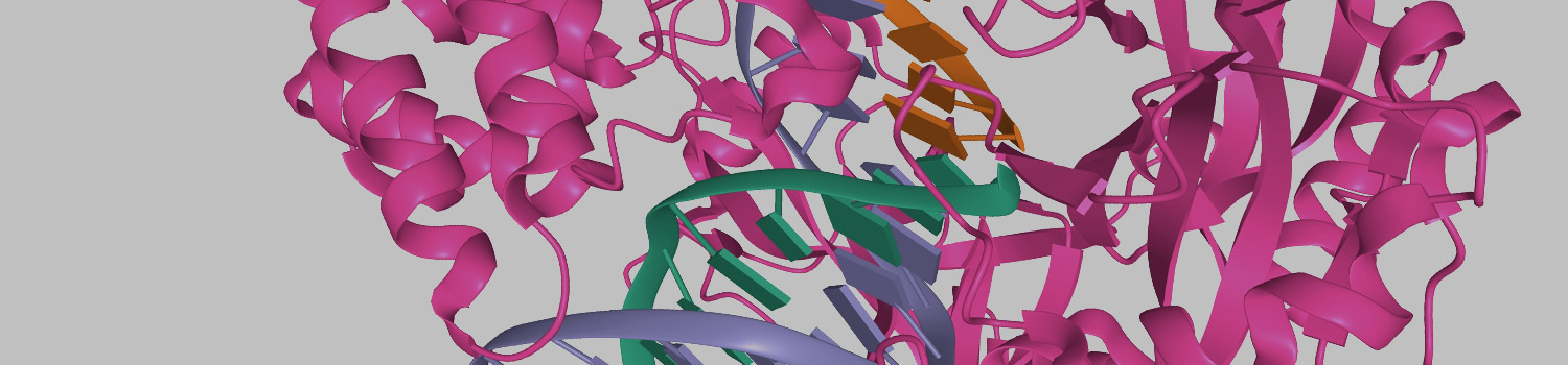 Lohman Lab | NEB