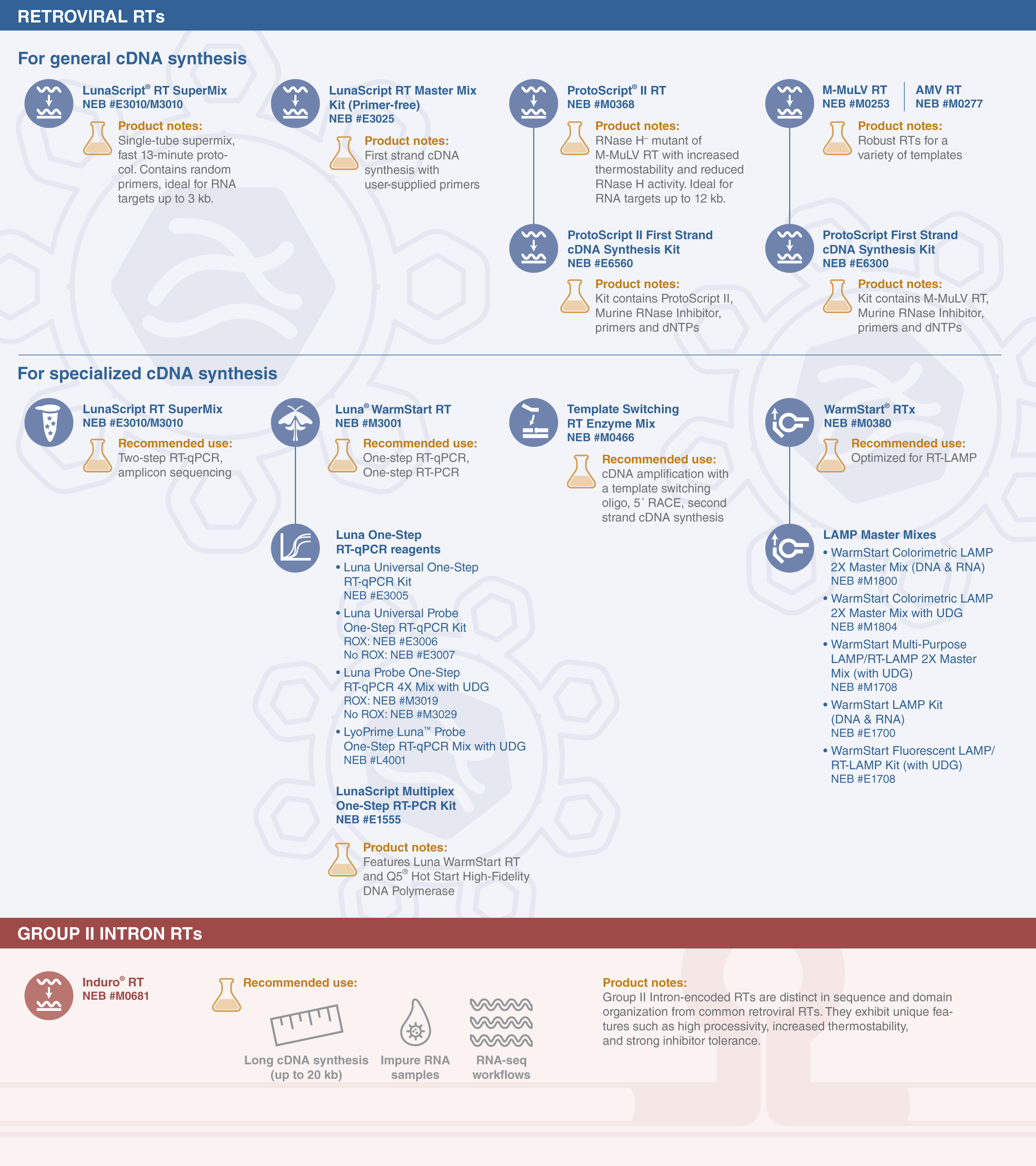 What Is Rts Label Reverse transcriptases (RTs) from New England Biolabs® | NEB