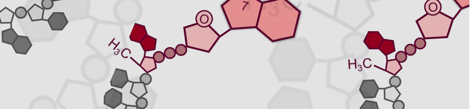 Chan Lab | NEB