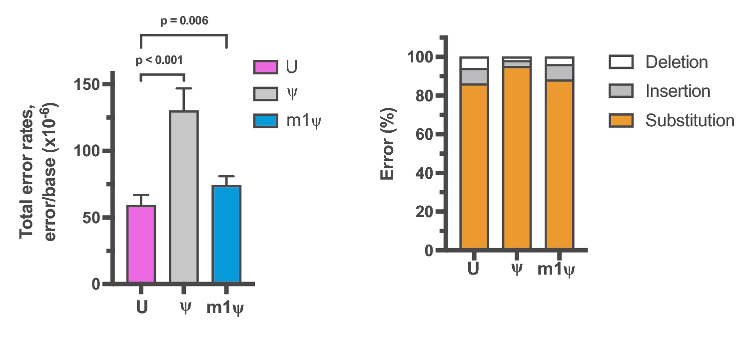Fidelity of nucleotide incorporation by RNA polymerases | NEB