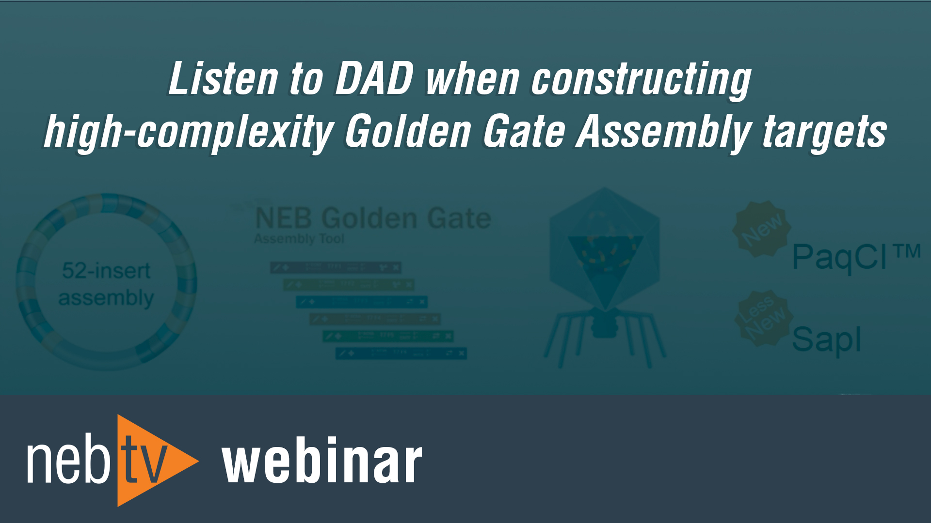Overview of NEBridge® Tools for Golden Gate Assembly | NEB