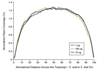 NEBNext Ultra™ RNA provides even sequence coverage across transcripts for a wide range of inputs