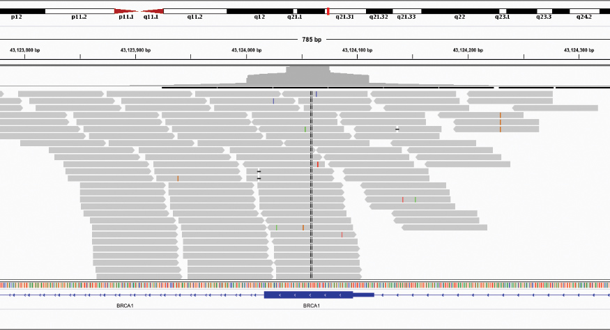 coverage of BRCA1 and BRCA2 genes graph