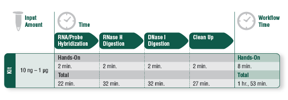 Figure 3. NEBNext rRNA Depletion Kit Workflow Times