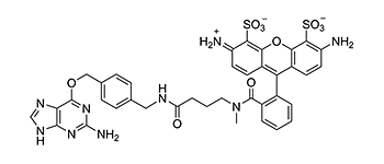 Figure 2: Structure of SNAP-Surface 488 (MW 841.9 g/mol) 