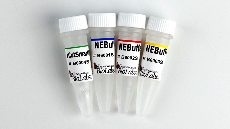 NEBuffer™ Set (r1.1, r2.1, r3.1 and rCutSmart™) | NEB