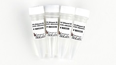 Image of product vials