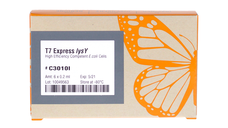 T7 Express lysY Competent E. coli (High Efficiency) | NEB