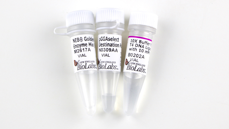 bsai NP3 導入エッセンス　PRO bsai NP3 導入エッセンス 30mlの卸・通販 | ビューティガレージ