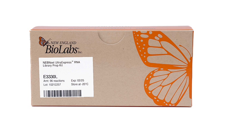 rna booster box Magic: The Gathering Ravnica Allegiance From sample lysis/binding sparQ RNA-Seq HMR Kits |
