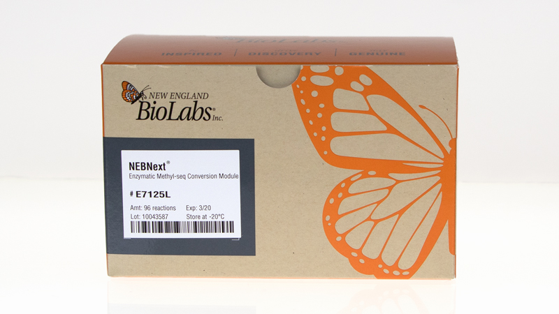 NEBNext® Enzymatic Methyl-seq Conversion Module | NEB