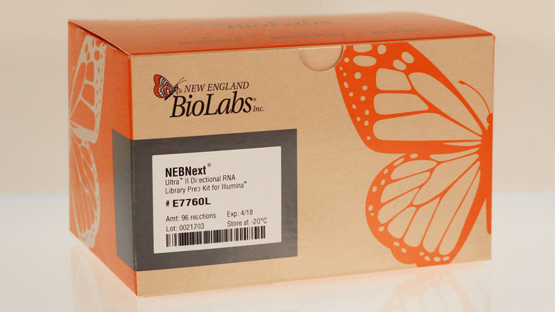 NEBNext Ultra II Directional RNA Library Prep Kit for Illumina | NEB